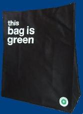 166_green_bag